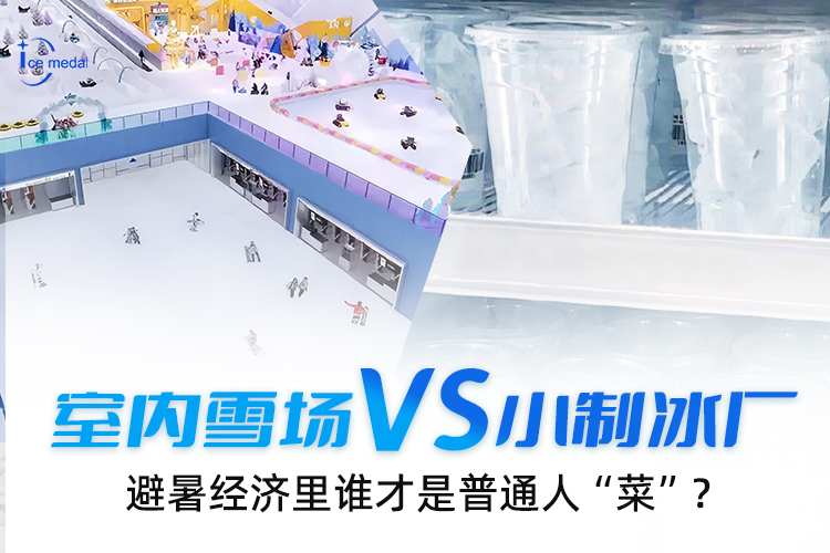 室內(nèi)雪場VS小制冰廠，避暑經(jīng)濟(jì)里誰才是普通人“菜”？